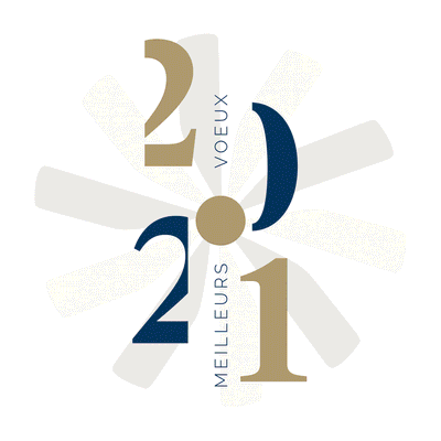 Bonne année 2021 !